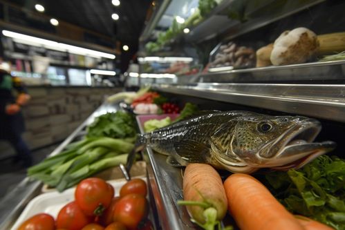 生鮮海鮮水產(chǎn)冰凍銀鱈魚 攝影圖