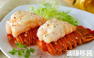 移民澳洲悉尼,六大意想不到的生活亮點